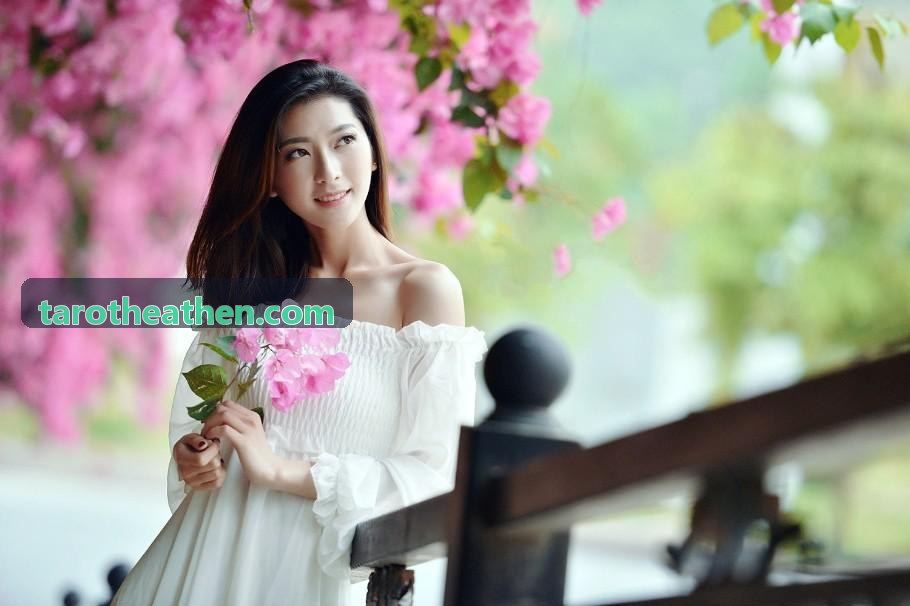 生物医药专利法律服务交底与说明书整理